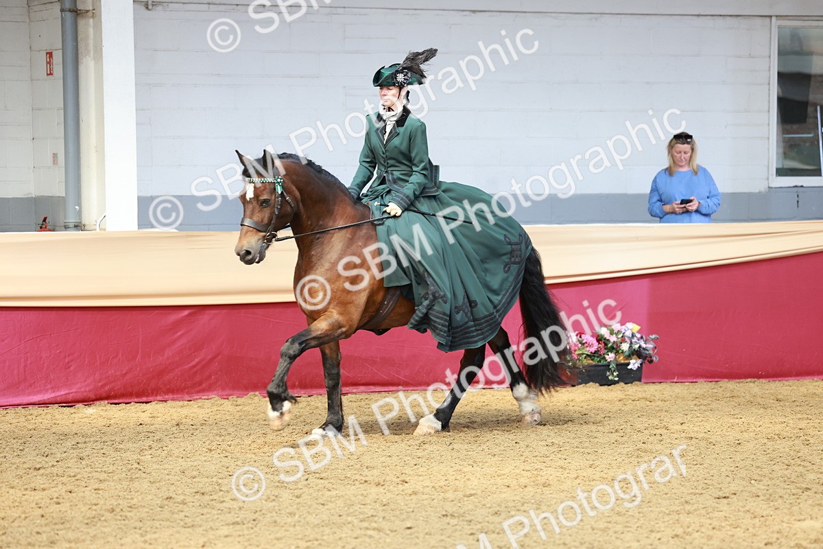 SBM_14819 - Class 107 - Ridden Costume - Astride Adult  (20+)