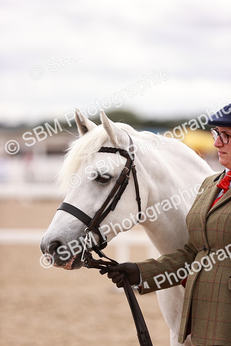 SBM_16349 - Class 413 - Best Condition - Adult