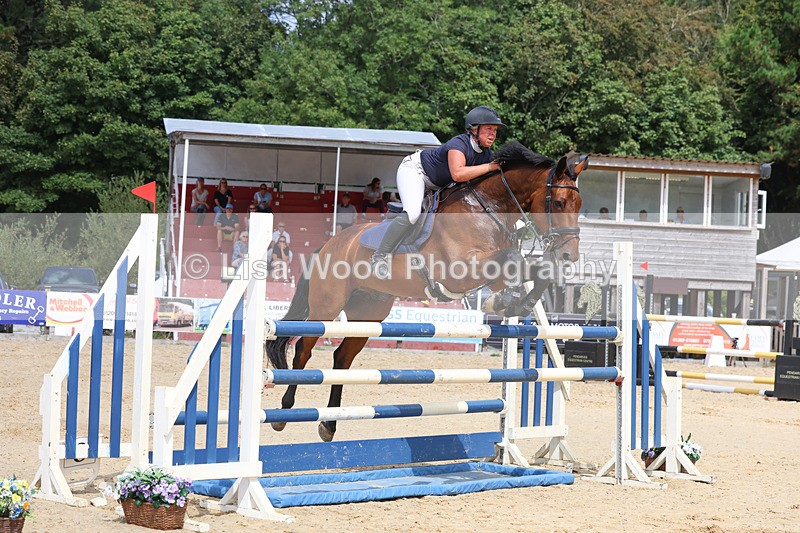3E7A1941 - Class 9: Senior Foxhunter/1.20 open