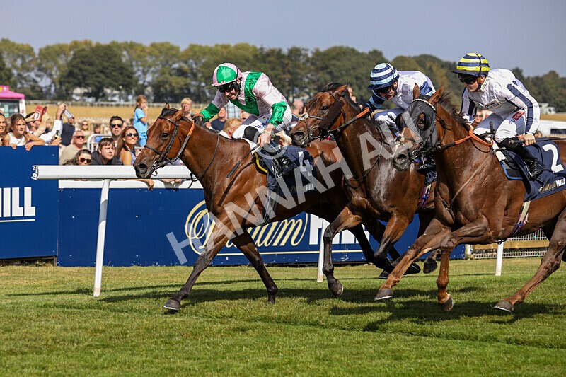 310824-Race 2-Democracy Dilemma-1134 - Race 2