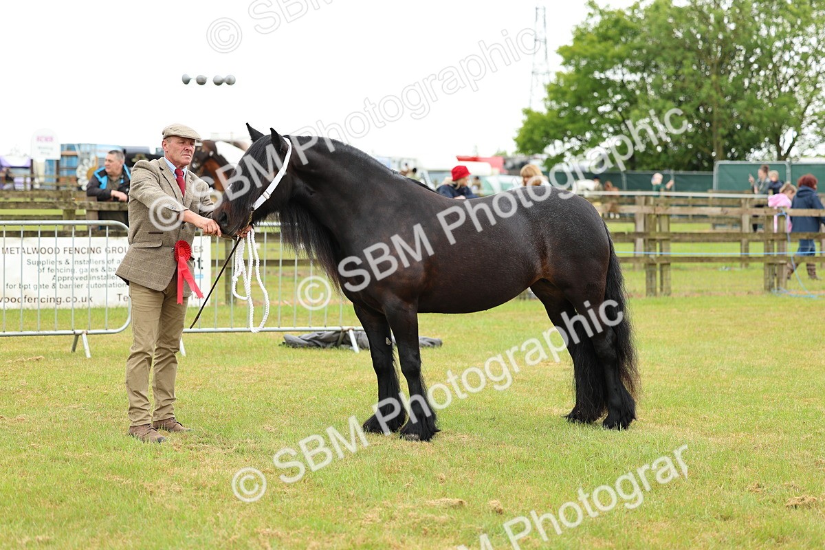 SBM_00567 - Class 58-67 - M&M Non Welsh Pony In hand