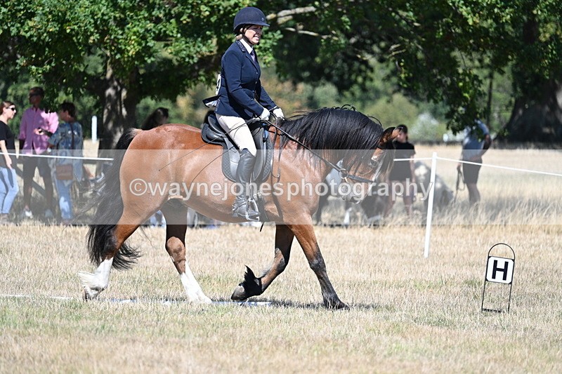 WJ7_0762 - Time 12:03 to 12:23