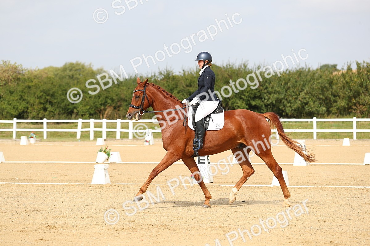 SBM_017283 - Class 13 - Novice 23 - 13.31-14.13