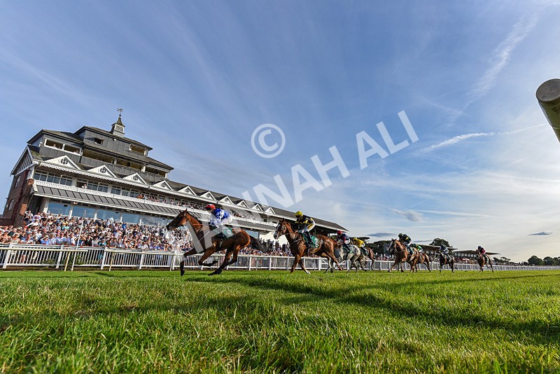140826-Race 3-Equity Law-5383 - Race 3 18.43pm Heineken 0% Handicap