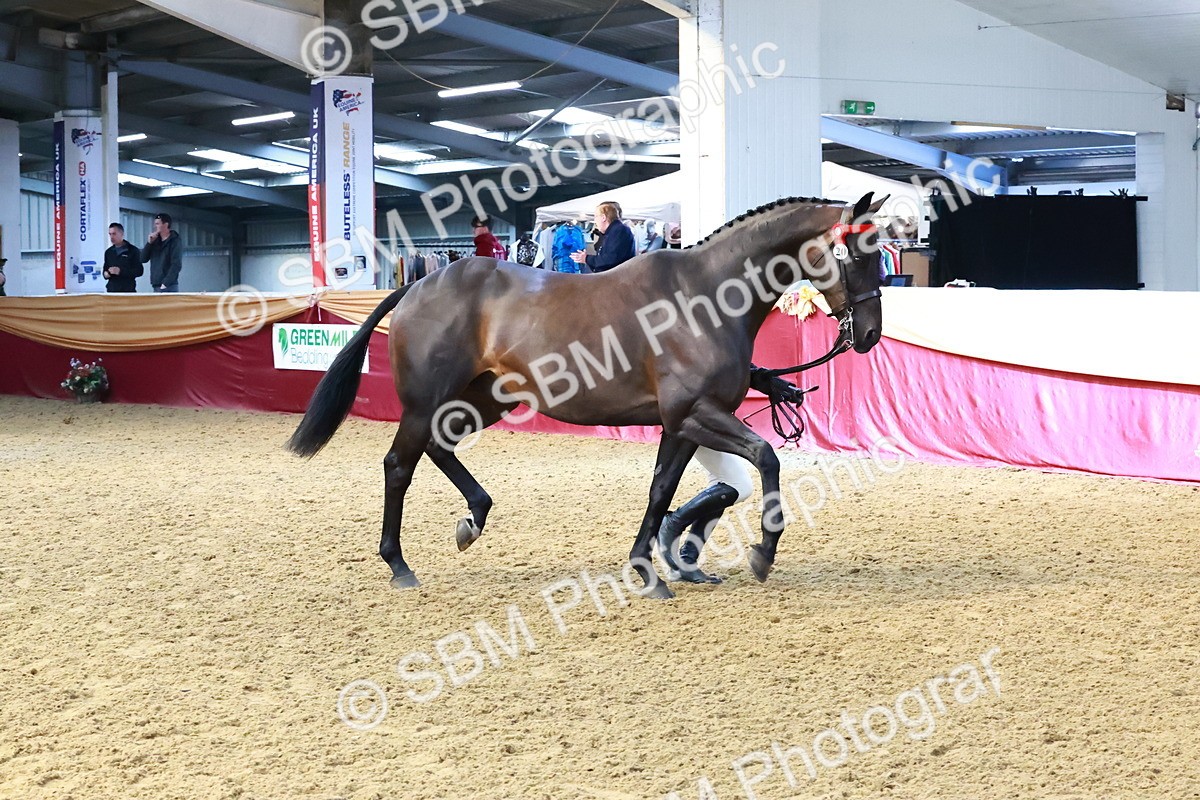 SBM_22450 - Class 902 - Supreme Final - IH Diamond