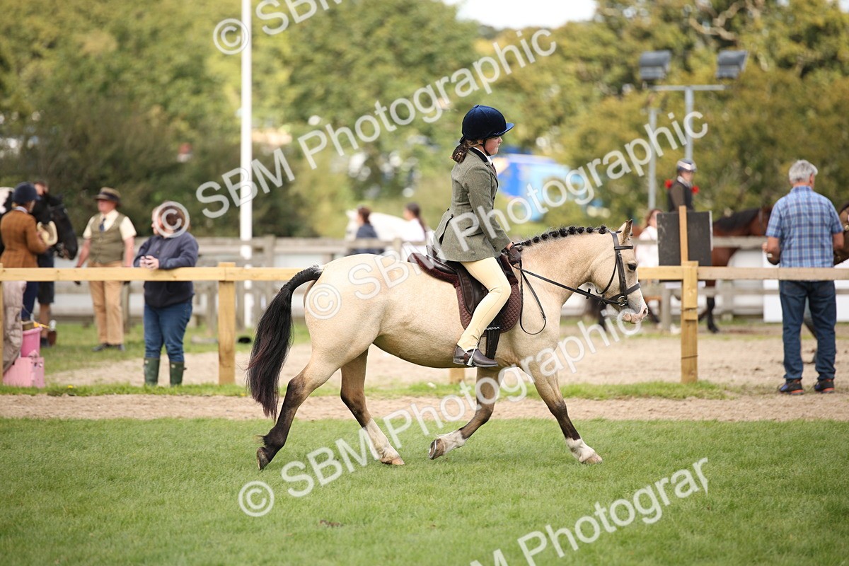 SBM_42306 - S13 - Pony Club Pony