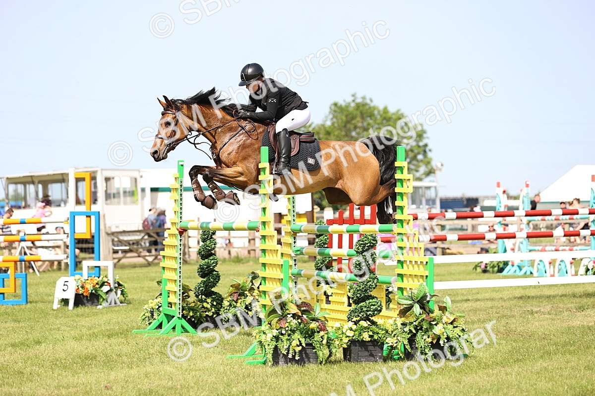 SBM_03087 - Class 201 - British Horse Feedds Speedi Beet HOYS Grade C