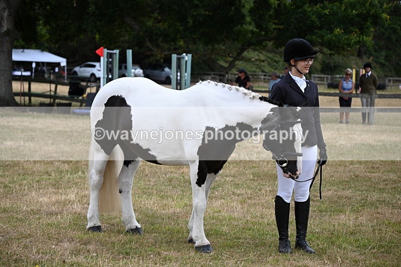WJ6_4239 - Class 10 Coloured In-hand