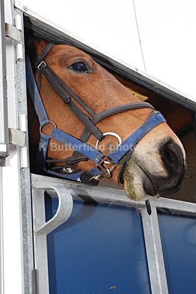 042 - Dunsany Chase 2013