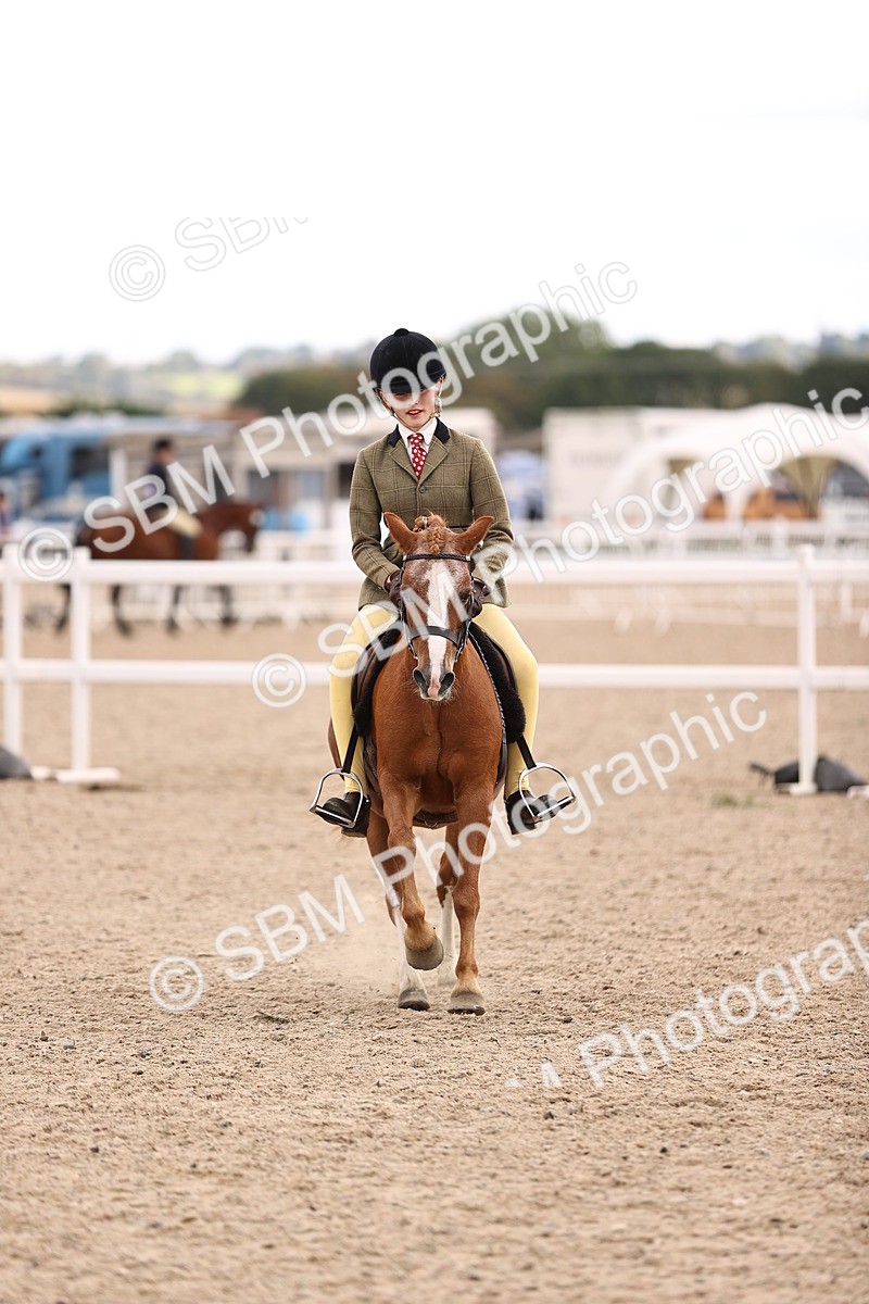 SBM_18078 - Class 422 - Equitation (Best Rider) Jnr