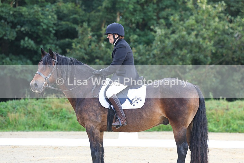 3E7A1888 - Class 1: Intro 4 2024 section A