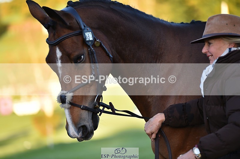 231022-084416-21323 - 637-JOIE.DE.TOURLIDA-Bronia.Hill-TrotUp+SJ