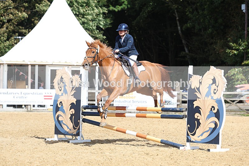 3E7A9361 - Class 9: Senior British Novice/90cm open