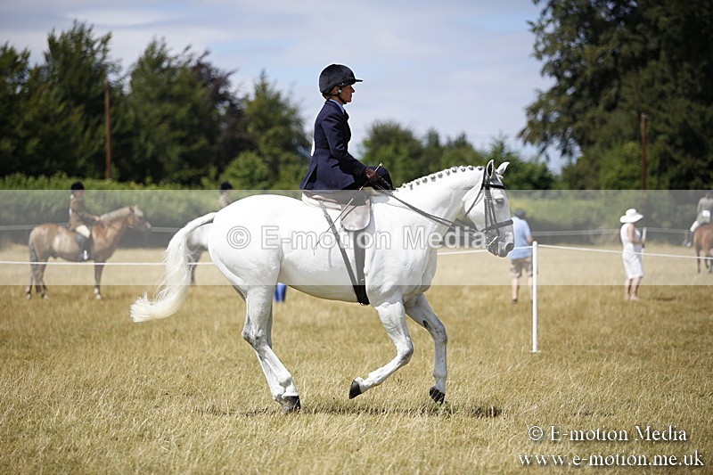 _C7A0248 - Side Saddle Classes BVRC Show 2018
