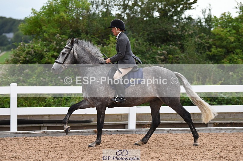 230718A-183046-00497 - 80cm