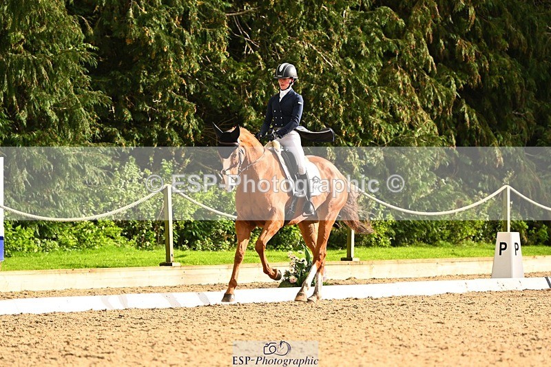 231021-154033-20921 - 260-LIGHTNIN.CONDUCTOR-Angus.Stewart-DR