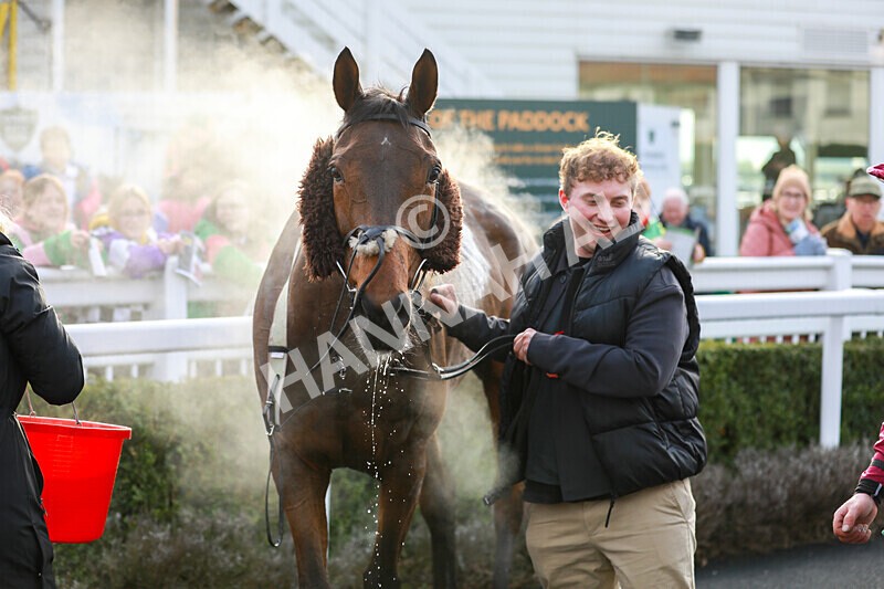 220125-Race 1-Siberian Star-3482 - Race 1