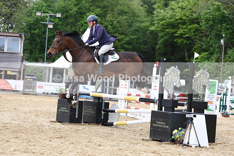3E7A6230 - Class 4: Senior British Novice/90cm open