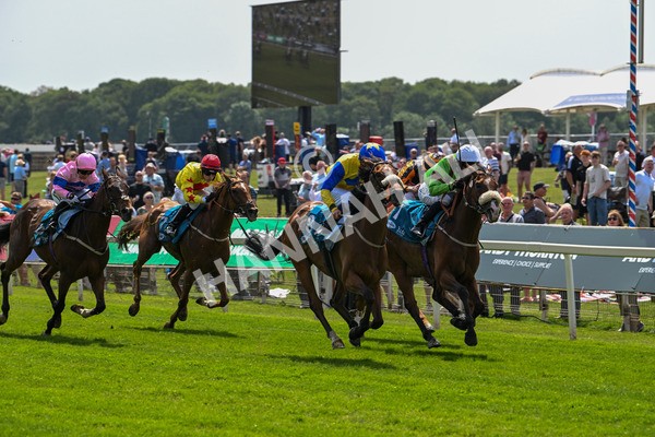 130625-Race 1-Feel The Need-8361 - Race 1 1.50pm Andy Thornton Hospitality Furniture Apprentice Handicap