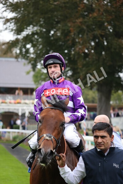 yr09102021r1-56 - Race 1 1.30pm Watch Racing Free Online At Coral Nursery Handicap