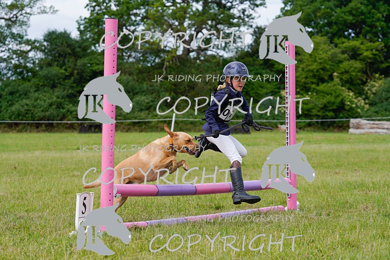 _DSC4909 - CLASS 7 HORSE & HOUND RING 2