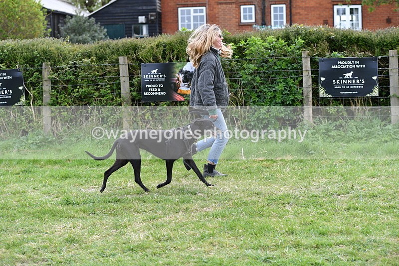 WJ5_9134 - Class 1 Best Cross Breed / Heniz 57