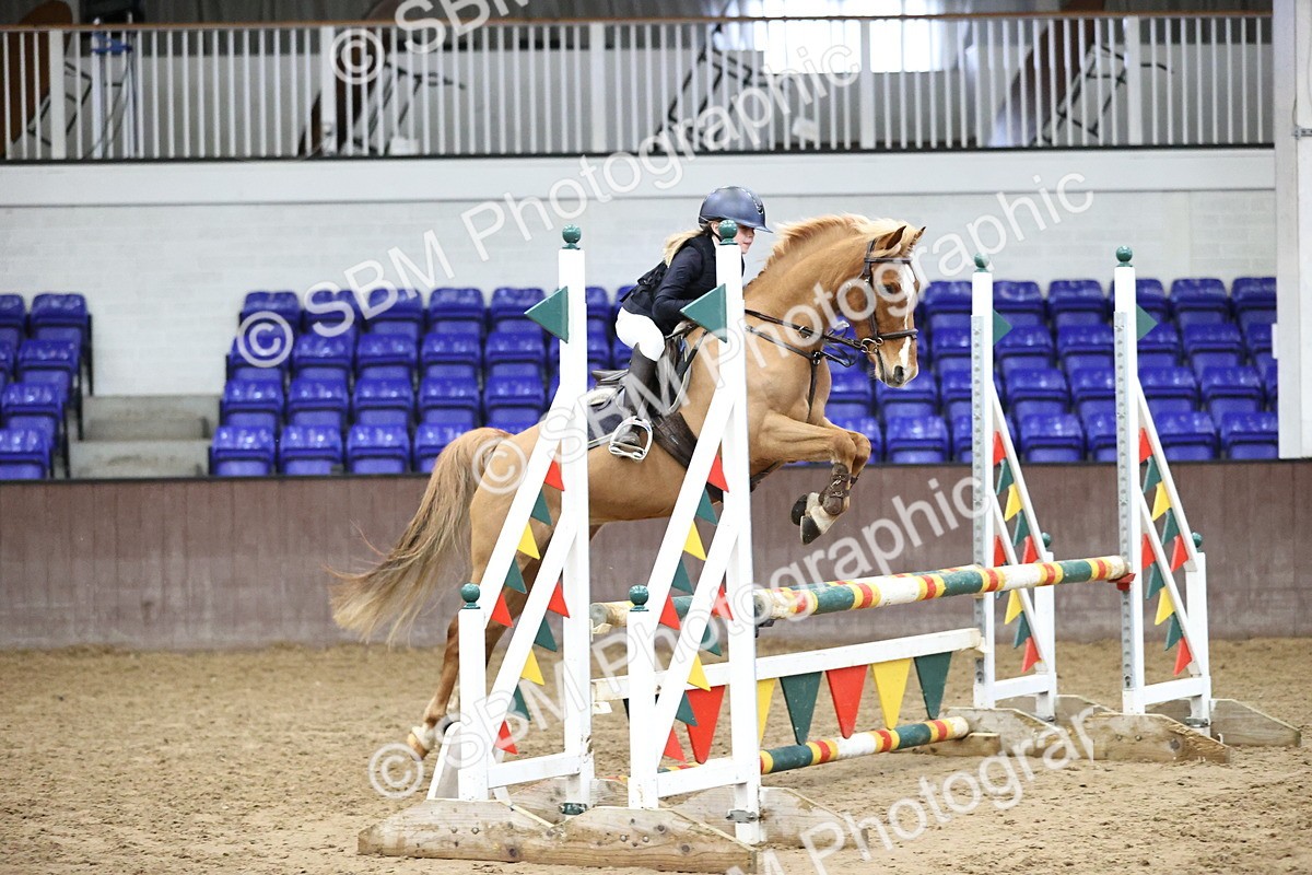 SBM_001476 - Class 9 - Pony British Novice 80cm