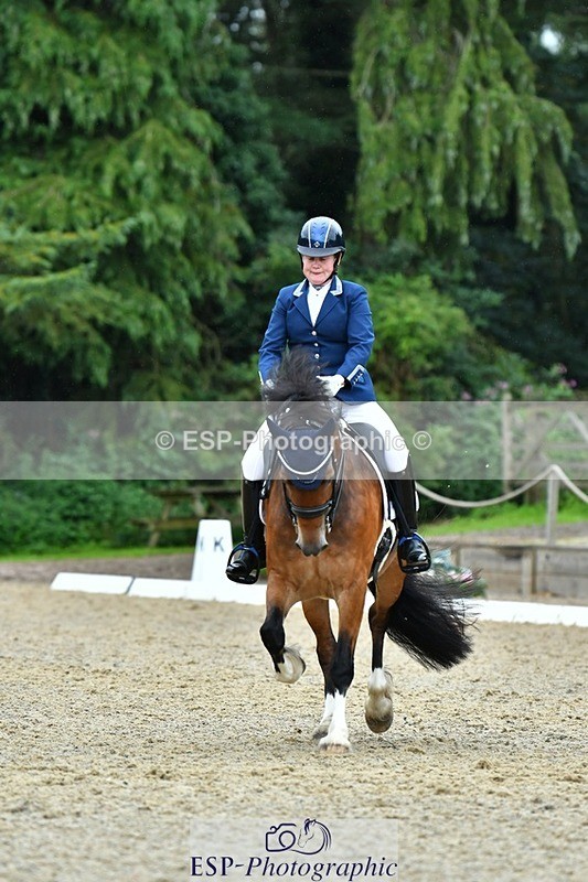 230722-162017-03921 - Cls 5, Elementary Silver 15.10 to End