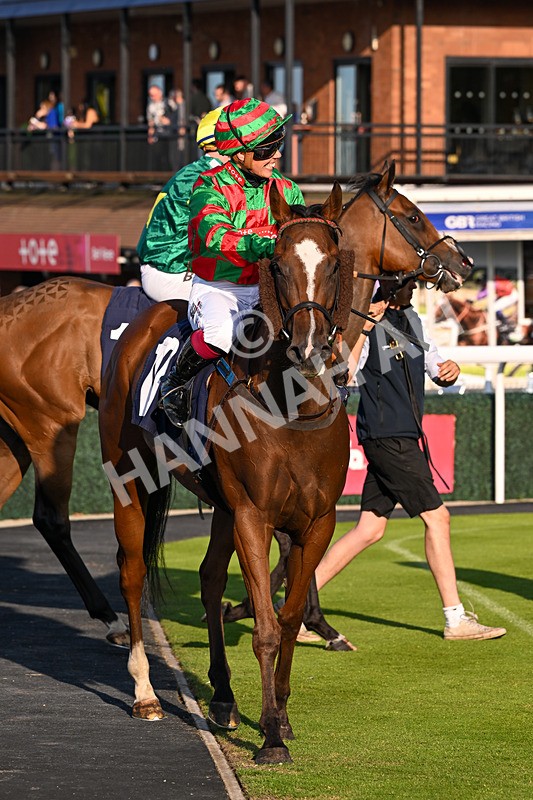 200726-Race 2-Opal Storm-6260 - Race 2 19.00pm Happy Birthday Katie Exon Handicap