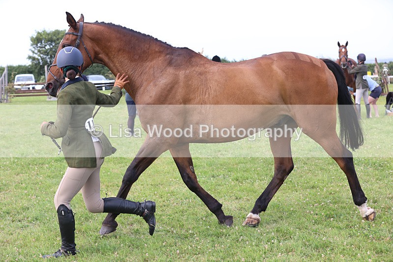 JPP_4547 - Class 26: Working Hunter 1m