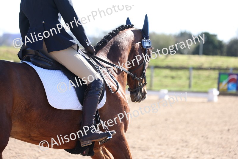 20260318-0510 - Class 5 - Novice 2