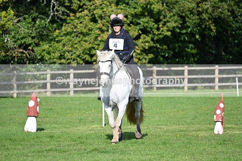 WJ7_3303 - 40cm Time 10:08 to 10:25