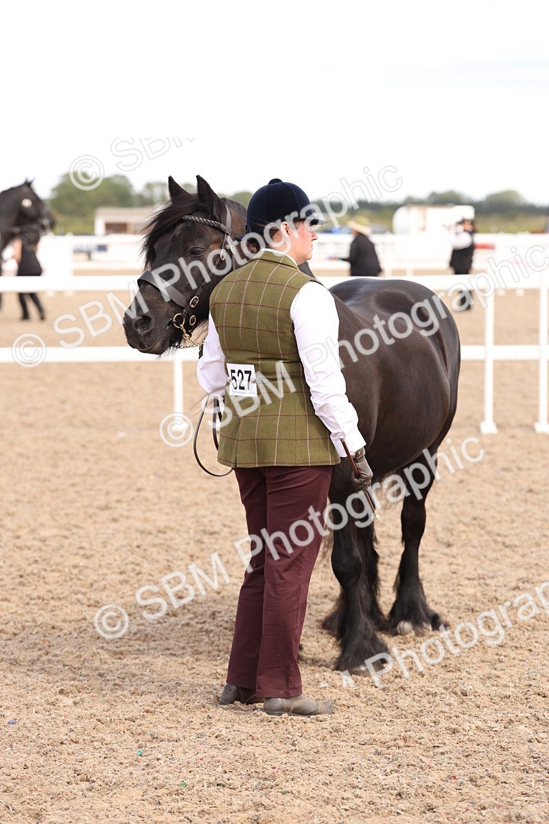 SBM_15102 - Class 209 - IH Veteran Pony