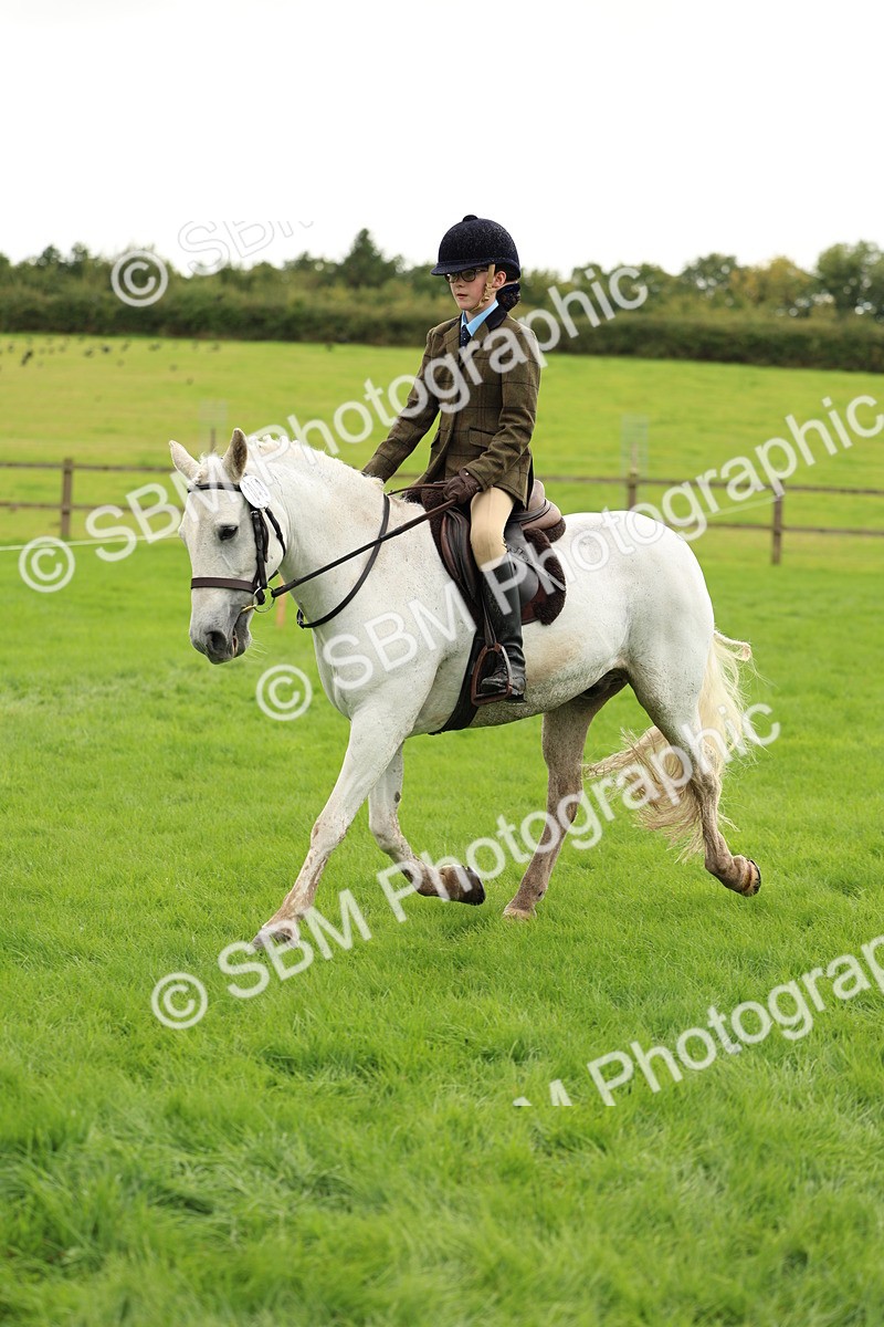 SBM_45358 - S33 - Working Hunter Pony