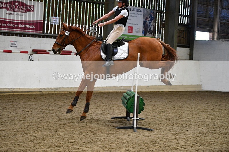 WJ5_7578 - 80cm time 12:47 to 13:39