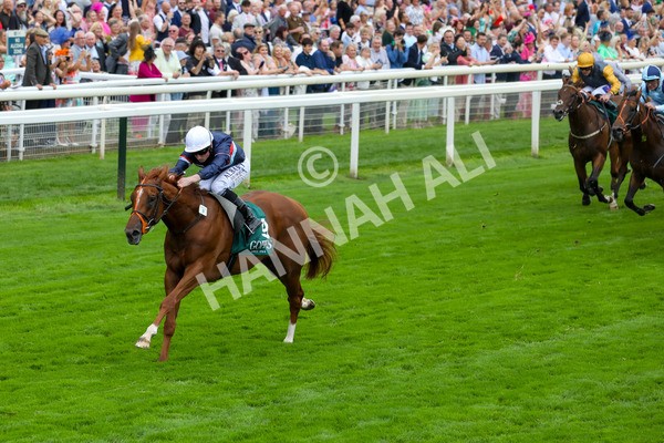 240823-Race 2-Dragon Leader-5092 - Race 2 2.25pm Goffs UK Harry Beeby Premier Yearling Stakes
