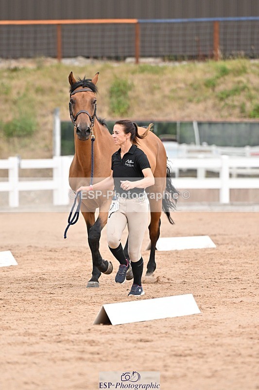 250716-152628-01944 - Trot Up 2.30 to 3.30