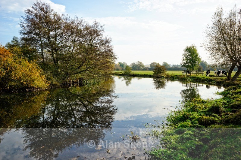 DSC01985 - Suffolk