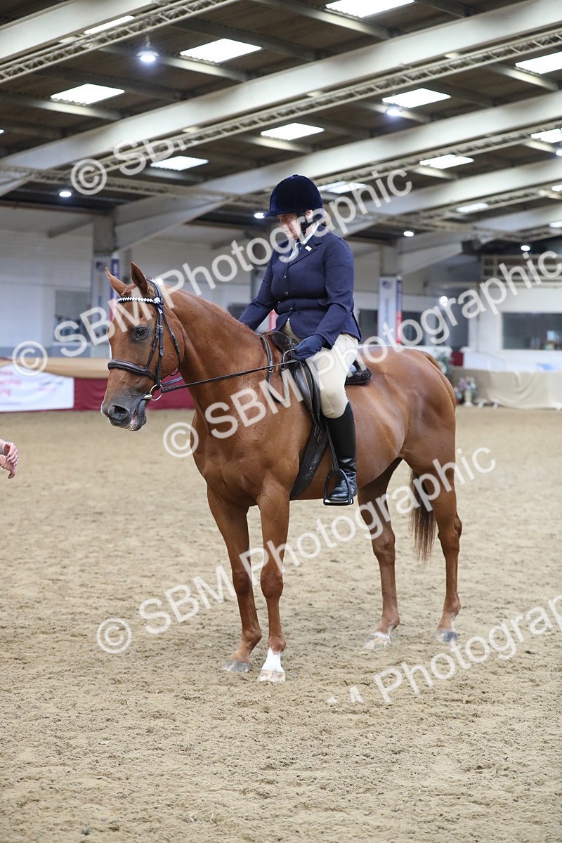 SBM_12353 - Class 108 Ridden Retired Racehorse- Pre Judging