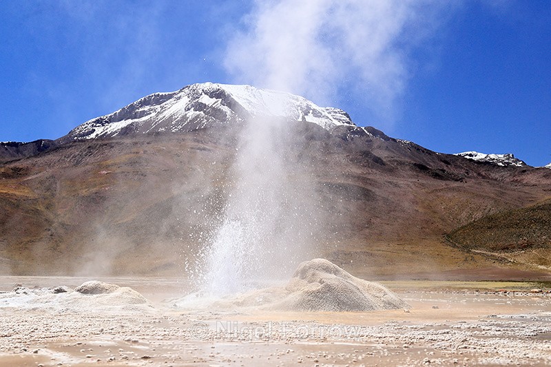 Erupting Geyser at El Tatio, Chile - Chile