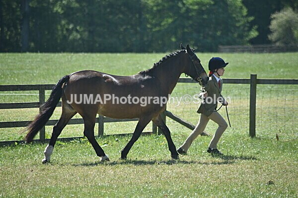 DSC_9029 - Rings 1 & 2