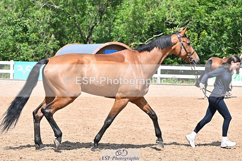 240718A-105316-01783 - Trot Up 1pm to 2pm