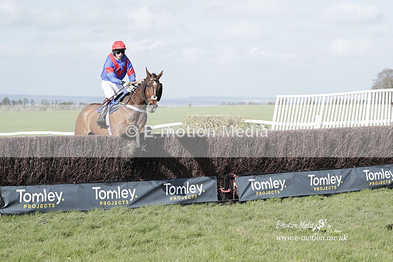 PtP 100423 1162 - Old Berkshire Point-to-Point Lockinge 10/04/23