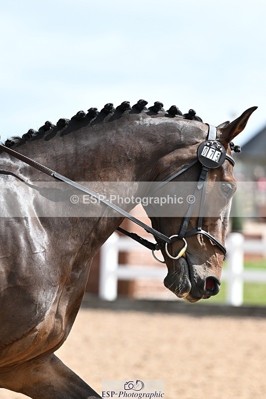 260704-111220-03481 - Cls 2C Snr Grassroots BRC Prelim A