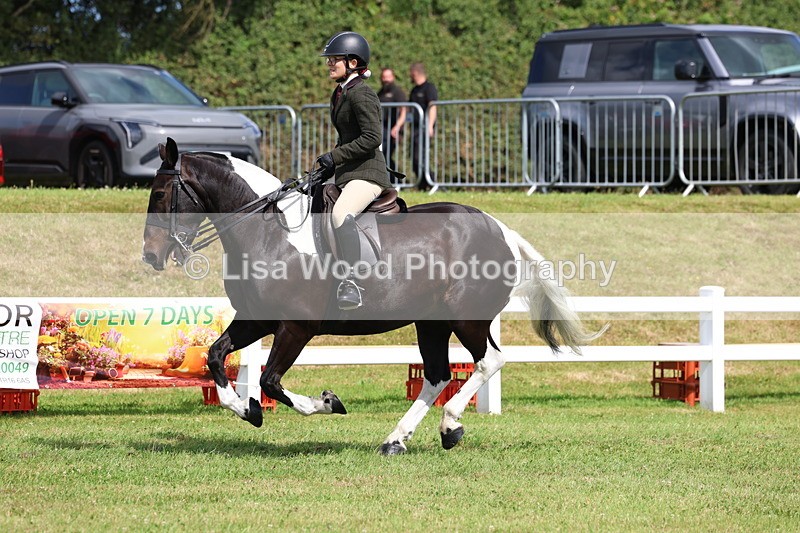 3E7A9753 - Class 5: Rising Star Lightweight/Heavyweight Cobs