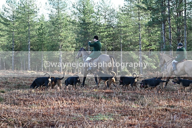 WJ7_7204 - Line 3 (no line 4 or 5)