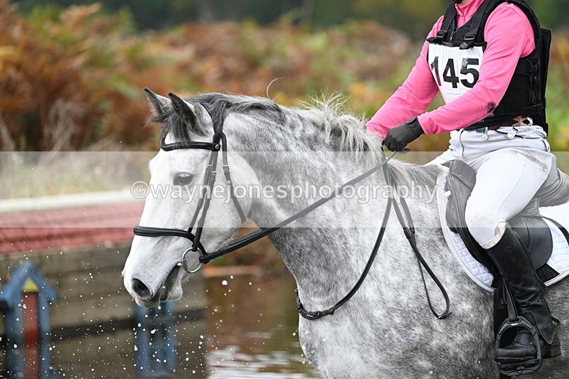 WJ7_1135 - 80cm Cam 2 Water Time 11:29 to 11:46