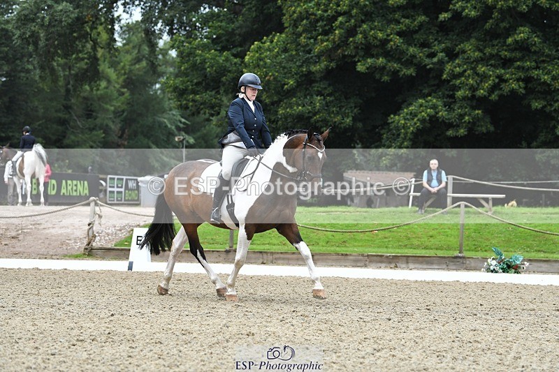 230812-095040-02869 - Cls 6 Novice Silver Start to 10.20 break