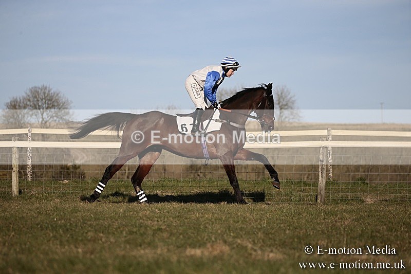 PtP 240218 646 - Vine & Craven Hunt Point-to-Point Barbury racecourse 24/02/18
