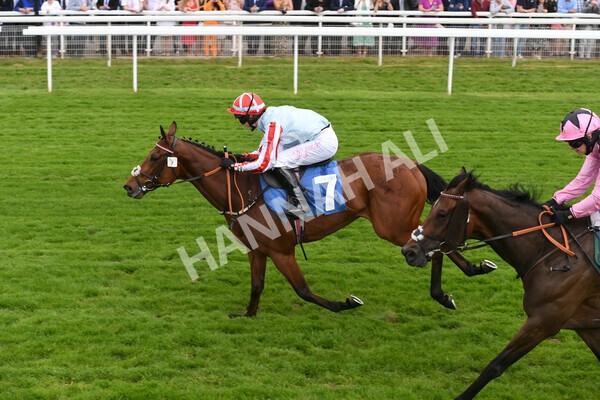 yr11062022r2-71 - Race 2 2.00pm Queen Mother's Cup